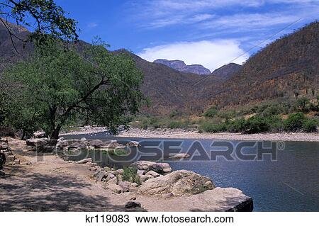 chihuahua, mexico urique river at bottom of canyon View Large Photo Image Stock Image - chihuahua, mexico urique river at bottom of canyon. Fotosearch