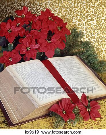 christmas still life open bible red poinsettia View Large Photo Image Stock Photo - christmas still life open bible red poinsettia. Fotosearch
