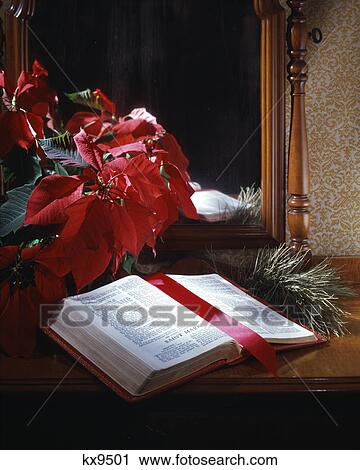 christmas still life open bible poinsettia View Large Photo Image Stock Image - christmas still life open bible poinsettia. Fotosearch
