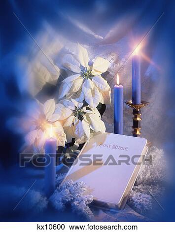 christmas still life white bible white poinsettias candles lace background blue filter vignette View Large Photo Image Stock Image - christmas still life white bible white poinsettias candles lace background blue filter vignette. Fotosearch