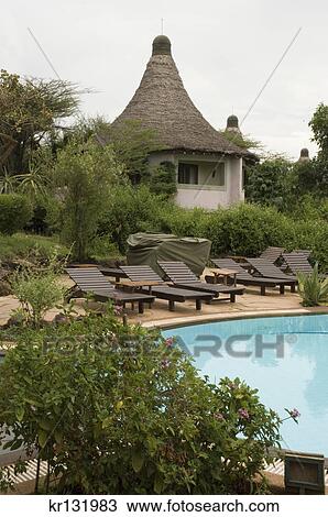 cottage deck chairs swimming pool lake manyara serena safari lodge tanzania africa View Large Photo Image Stock Image - cottage deck chairs swimming pool lake manyara serena safari lodge tanzania africa. Fotosearch
