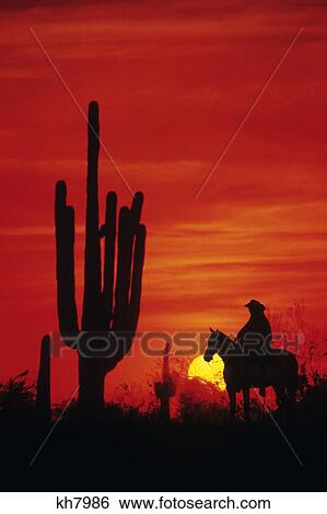 cowboy silhouette red b/g cactus View Large Photo Image Stock Photograph - cowboy silhouette red b/g cactus. Fotosearch