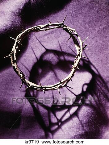 Stock Photo - crown of thorns on purple cloth. Fotosearch