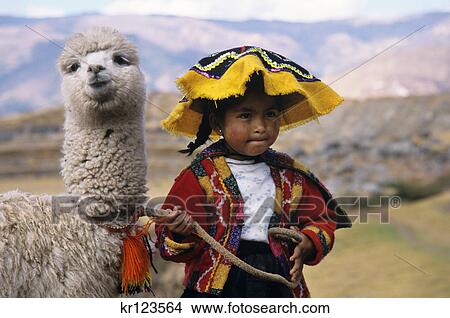 Picture - cuzco, peru quechua indian girl with baby llama. Fotosearch