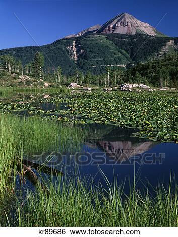 engineer mountain reflection in scout lake san juan national forrest, off us route 550 near purgatory, san juan county, colorado View Large Photo Image Stock Photograph - engineer mountain reflection in scout lake san juan national forrest, off us route 550 near purgatory, san juan county, colorado. Fotosearch