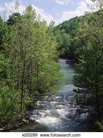 Stock Photo - falling water creek ozark national forest, searcy county arkansas. Fotosearch
