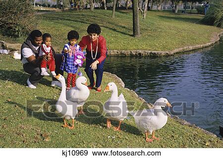 family View Large Photo Image Stock Photo - family. Fotosearch