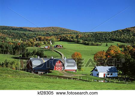farm s. albany, vermont View Large Photo Image Stock Photography - farm s. albany, vermont. Fotosearch
