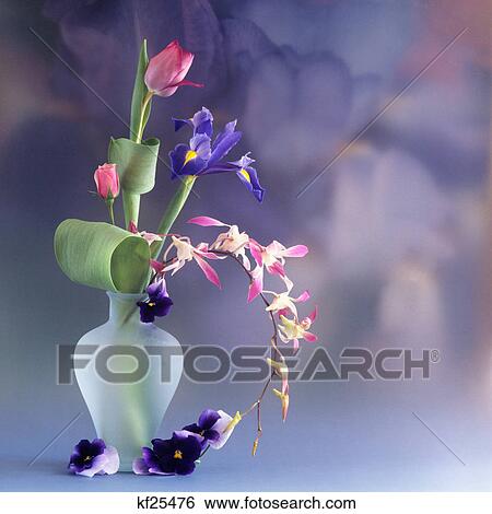 floral arrangement View Large Photo Image Stock Photograph - floral arrangement. Fotosearch