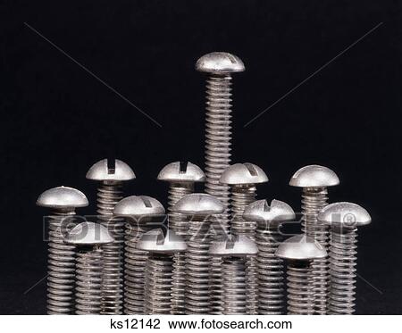 group of 14 metal screws arranged in rows with one screw taller longer than the other sizes View Large Photo Image Stock Image - group of 14 metal screws arranged in rows with one screw taller longer than the other sizes. Fotosearch