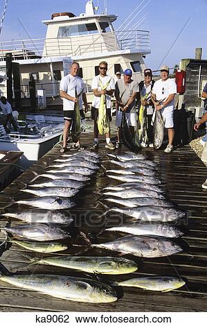 Stock Image - group of fishermen with catch of tuna and dolphin fish outer banks, nc. Fotosearch