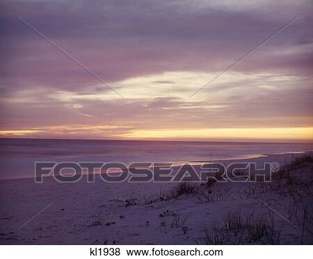 gulf of mexico beach sand dunes at sunset View Large Photo Image Stock Photo - gulf of mexico beach sand dunes at sunset. Fotosearch