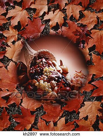 harvest cornucopia of vegetables and fruits in center of autumn leaf foliage pattern View Large Photo Image Stock Photo - harvest cornucopia of vegetables and fruits in center of autumn leaf foliage pattern. Fotosearch