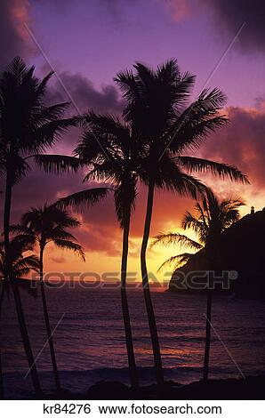 hawaiian sunrise with makapuu point lighthouse hawaii View Large Photo Image Stock Photograph - hawaiian sunrise with makapuu point lighthouse hawaii. Fotosearch