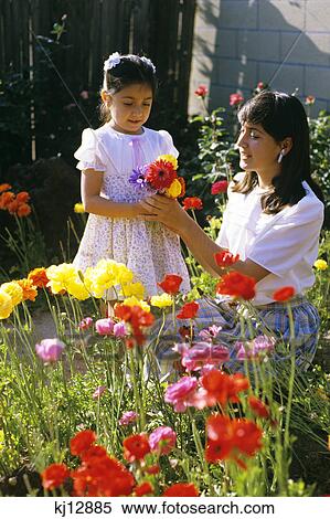 hispanic mother and daughter picking flowers in garden View Large Photo Image Stock Photography - hispanic mother and daughter picking flowers in garden. Fotosearch