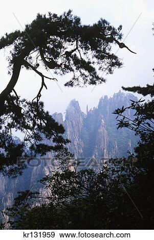 huangshan yellow mountain anhui province china View Large Photo Image Stock Photo - huangshan yellow mountain anhui province china. Fotosearch