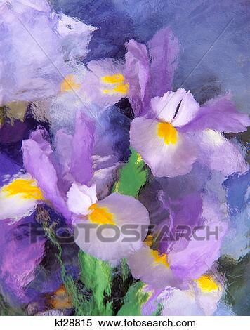 iris View Large Photo Image Stock Photography - iris. Fotosearch