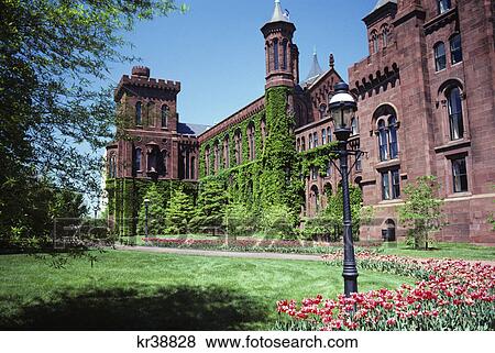 ivy covered building smithsonian institute washington, dc View Large Photo Image Stock Photo - ivy covered building smithsonian institute washington, dc. Fotosearch