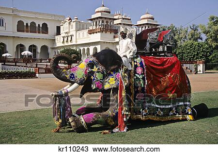 jaipur, rajasthan, india decorated elephant rambagh palace View Large Photo Image Stock Image - jaipur, rajasthan, india decorated elephant rambagh palace. Fotosearch
