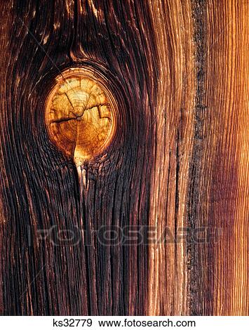 Stock Photo - knot on weathered englemann spruce board. Fotosearch