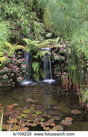 lankester gardens cortago costa rica View Large Photo Image Stock Image - lankester gardens cortago costa rica. Fotosearch