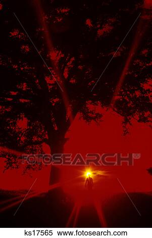 lone man walking under silhouetted tree red sky & yellow sunburst View Large Photo Image Stock Photography - lone man walking under silhouetted tree red sky & yellow sunburst. Fotosearch
