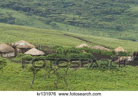 Stock Photograph - masai village manyatta in ngorongoro crater tanzania africa. Fotosearch