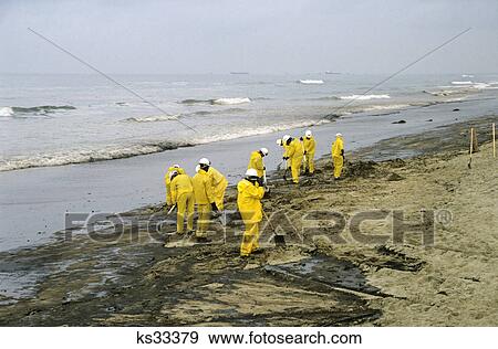 Stock Photo - mopping up oil spill huntington beach, california. Fotosearch