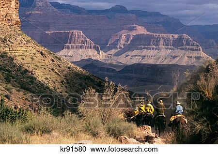 mule riders going down bright angel trail grand canyon national park, arizona View Large Photo Image Stock Image - mule riders going down bright angel trail grand canyon national park, arizona. Fotosearch
