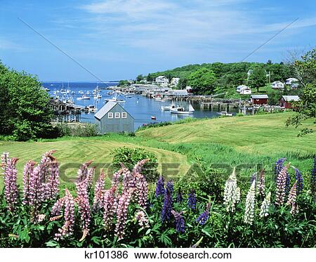 new harbor, maine View Large Photo Image Stock Photograph - new harbor, maine. Fotosearch