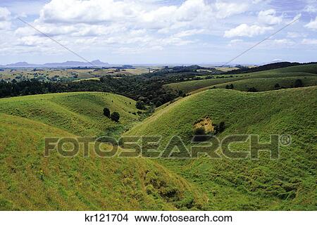 north island, new zealand rolling green hills View Large Photo Image Picture - north island, new zealand rolling green hills. Fotosearch