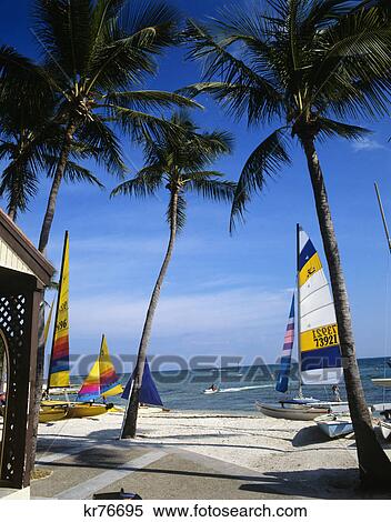 palm trees sailboats on beach key west florida View Large Photo Image Stock Photography - palm trees sailboats on beach key west florida. Fotosearch