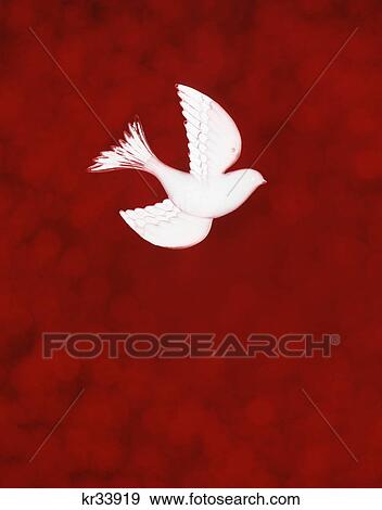 pentecost white dove illustration red background View Large Photo Image Stock Photo - pentecost white dove illustration red background. Fotosearch