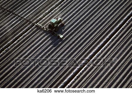 plowing field View Large Photo Image Stock Photograph - plowing field. Fotosearch