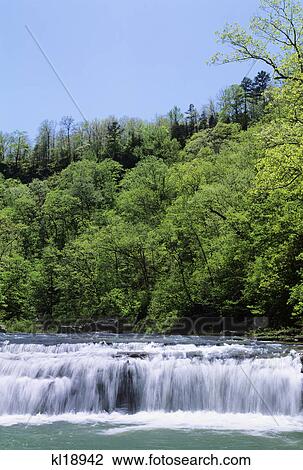 richland creek and richland falls richland creek wilderness, ozark nat'l forest, newton county, arkansas View Large Photo Image Stock Image - richland creek and richland falls richland creek wilderness, ozark nat'l forest, newton county, arkansas. Fotosearch