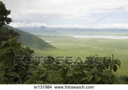 scenic looking down into ngorongoro crater from the rim tanzania africa View Large Photo Image Picture - scenic looking down into ngorongoro crater from the rim tanzania africa. Fotosearch