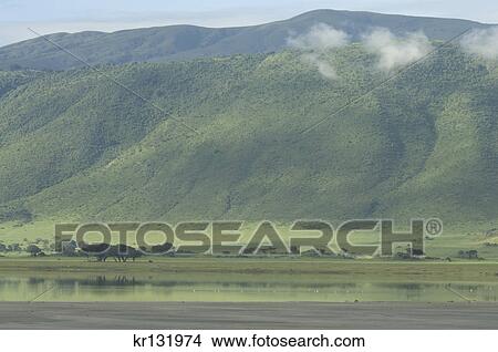 scenic of ngorongoro crater tanzania africa View Large Photo Image Picture - scenic of ngorongoro crater tanzania africa. Fotosearch