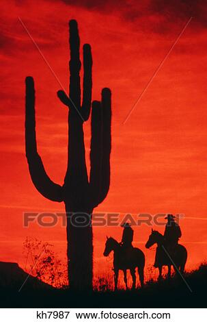 silhouetted cactus and cowboy on horseback View Large Photo Image Stock Photo - silhouetted cactus and cowboy on horseback. Fotosearch