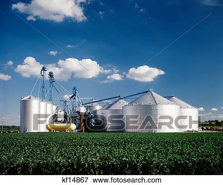 silos at grain terminal dane county, wi View Large Photo Image Stock Photo - silos at grain terminal dane county, wi. Fotosearch