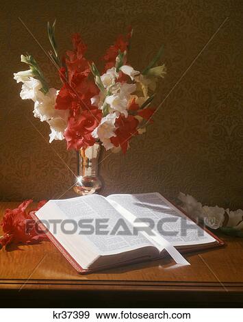 silver vase of red and white gladiola flowers with open bible to book of matthew View Large Photo Image Stock Photo - silver vase of red and white gladiola flowers with open bible to book of matthew. Fotosearch
