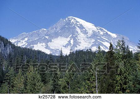 snow covered mount rainier national park washington state View Large Photo Image Stock Photo - snow covered mount rainier national park washington state. Fotosearch