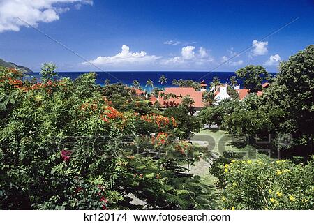 st. croix, virgin islands, west indies north side of davis bay View Large Photo Image Picture - st. croix, virgin islands, west indies north side of davis bay. Fotosearch