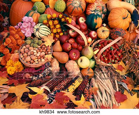 still life of autumn harvest fruits and vegetables View Large Photo Image Picture - still life of autumn harvest fruits and vegetables. Fotosearch