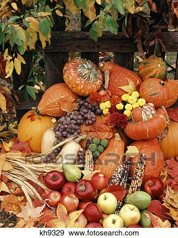 still life of autumn harvest fruits and vegetables View Large Photo Image Stock Photo - still life of autumn harvest fruits and vegetables. Fotosearch