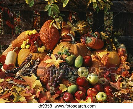still life of autumn harvest fruits and vegetables View Large Photo Image Stock Photo - still life of autumn harvest fruits and vegetables. Fotosearch