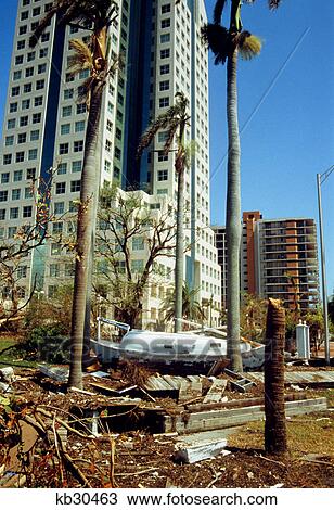 storm damage miami, florida View Large Photo Image Stock Image - storm damage miami, florida. Fotosearch