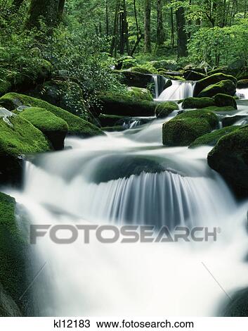 stream running over rocks cosby creek, great smoky mountains national park, tn View Large Photo Image Stock Image - stream running over rocks cosby creek, great smoky mountains national park, tn. Fotosearch