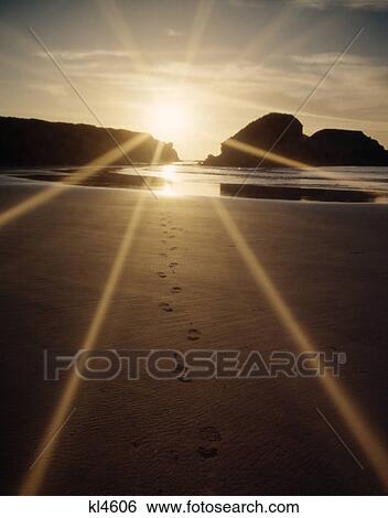 sunburst scene sand dollar beach, california View Large Photo Image Stock Photograph - sunburst scene sand dollar beach, california. Fotosearch