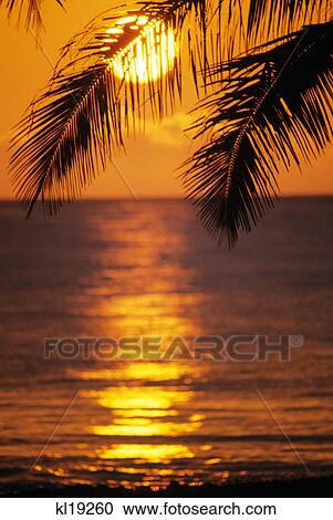 sunset haleiwa, hawaii View Large Photo Image Stock Image - sunset haleiwa, hawaii. Fotosearch