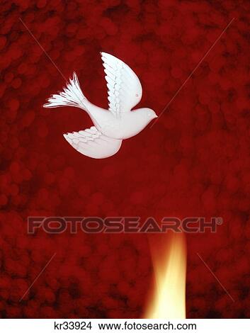 symbolic pentecost dove and flame on red background View Large Photo Image Picture - symbolic pentecost dove and flame on red background. Fotosearch